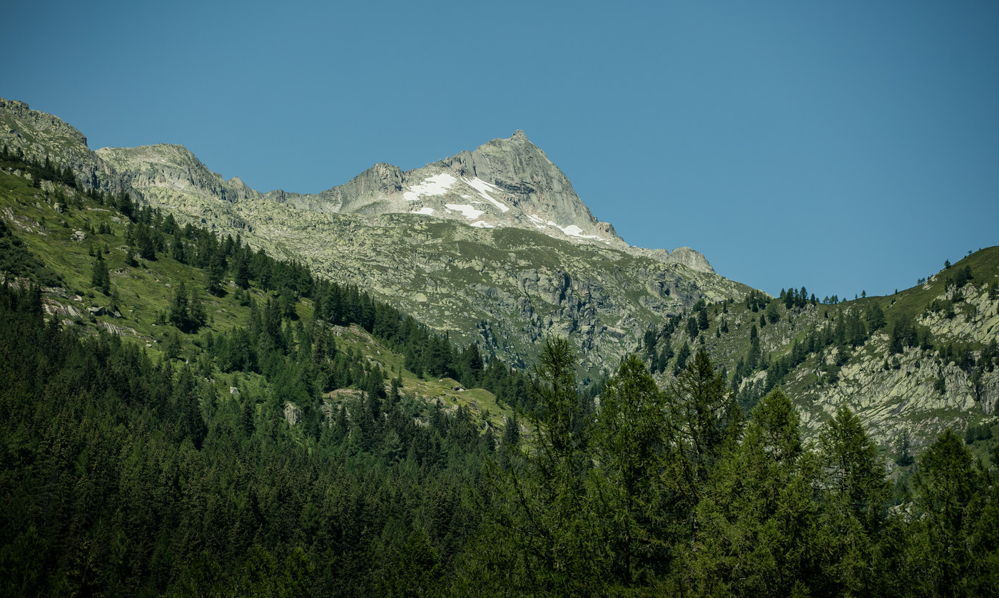 FotografChristianPfammatter166