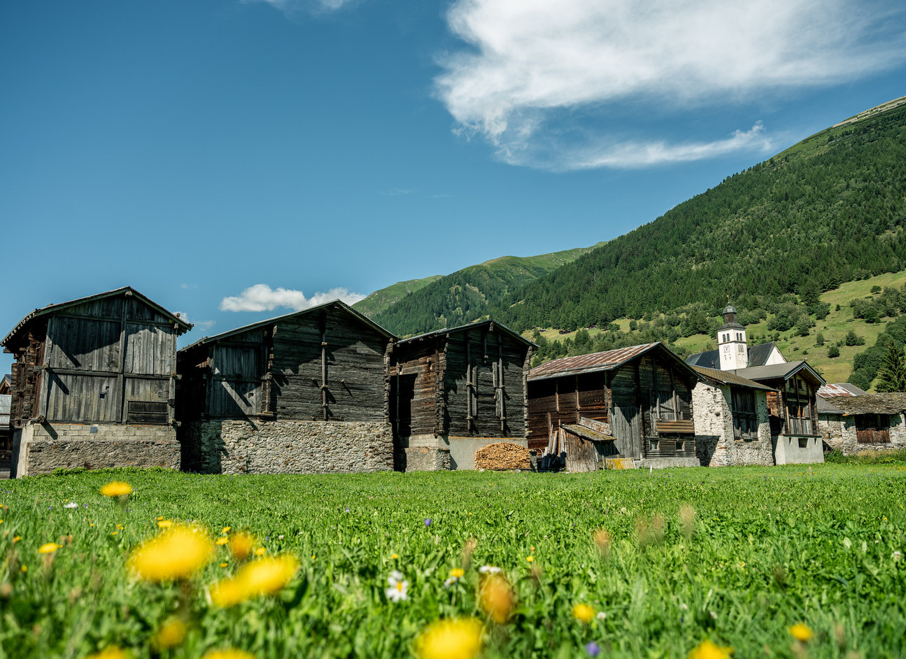 dorf-sommer-obergesteln-goms5